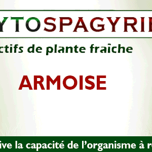 Armoise Bio 300ml