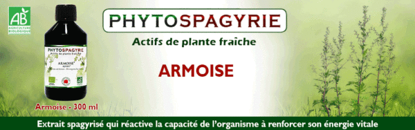 Armoise Bio 300ml – Image 2