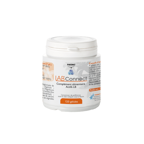 LAB Connect 120 G lules Promelis