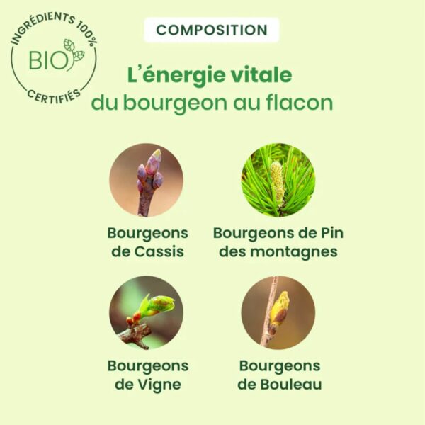ARTIGEM Articulation 30 ml – Image 3