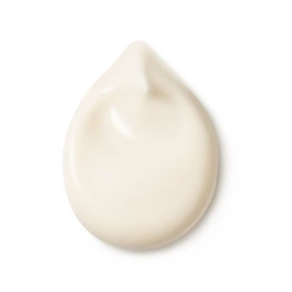 CREME DE JOUR LEGERE DE ROSE 30 ML – Image 2