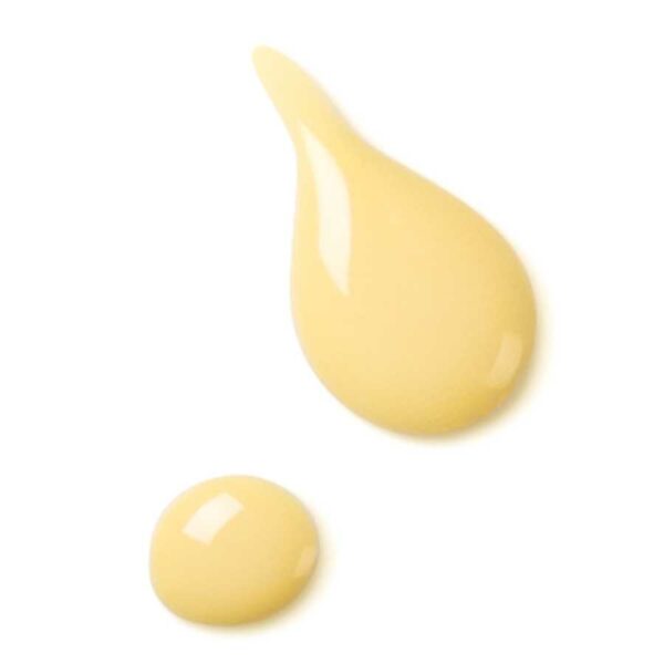 Fluide de Jour Revitalisant 50 ml – Image 3