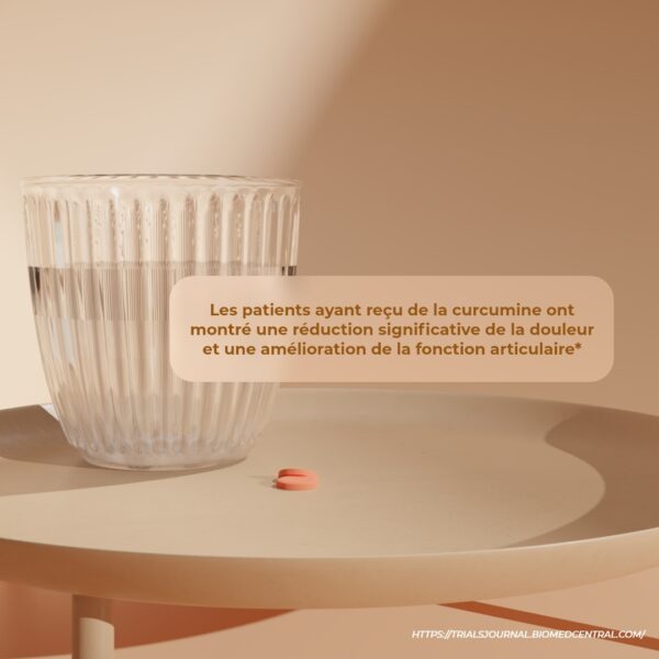 CURAFORM, TITRE EN CURCUMINE BIO 60 comprimés – Image 6