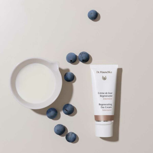 CREME DE JOUR REGENERANTE INTENSIVE - 40 ML – Image 3