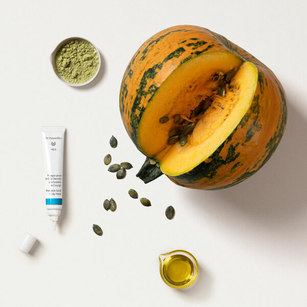 MASQUE POUR LE CUIRE CHEVELU GRAINES DE COURGE – Image 3
