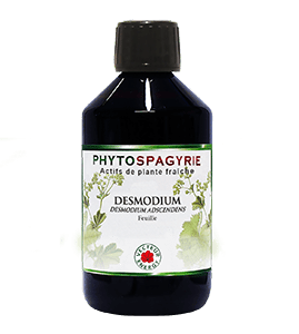 DESMODIUM 300ML PHYTOSPAGYRIE