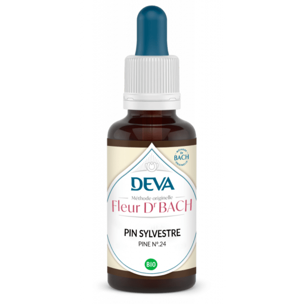 PIN SYLVESTRE / PINE BIO N°24 15ml