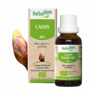 CASSIS 30ML BIO