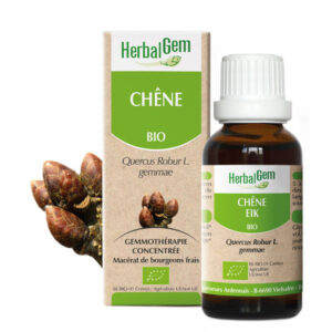 CHENE 30ML BIO