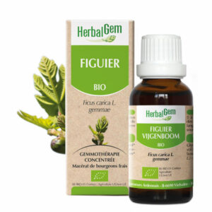 FIGUIER 30ML BIO