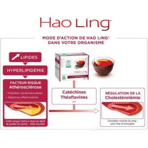 THE HAO LING 90 INF BIO FAIRTRADE