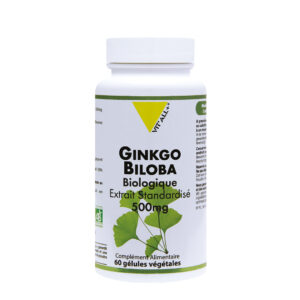 GINKGO BILOBA bio 60GEL