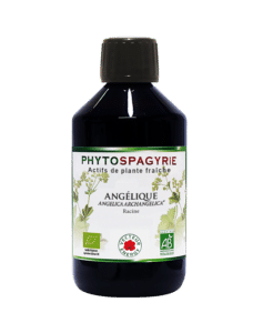 ANGELIQUE BIO 300ML