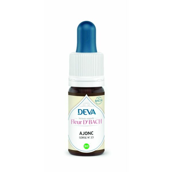 AJONC / GORSE N°13 BIO 15ML