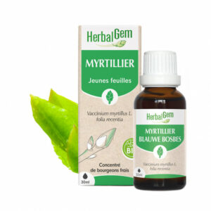 MYRTILLIER BIO 30ML