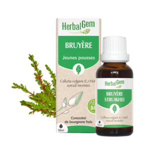 BRUYERE 30 ML BIO