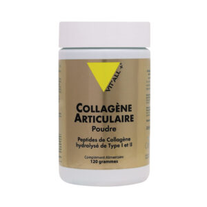 COLLAGENE ARTICULATION 120 GR