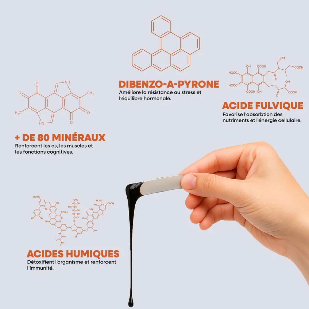 SHILAJIT RÉSINE 100% 30GR 60 DOSES – Image 6