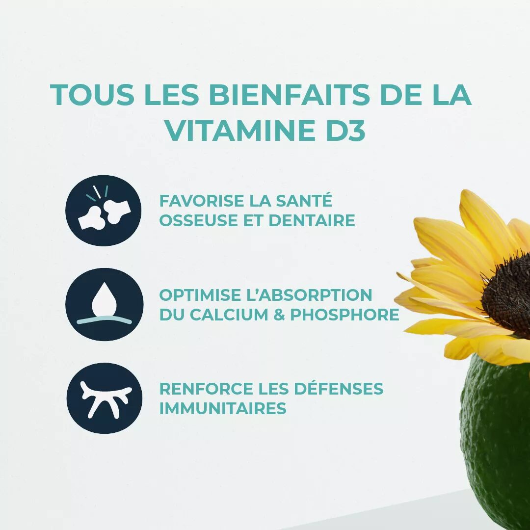 D3FORM VITAMINE D3 2000 UI BIO 60 GEL – Image 3
