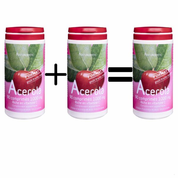 Promo acérola 2 boites achetées 1 boite offerte (1 lot de 3 boites 90 comprimés)