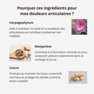 ARTICULATION NIGELLE