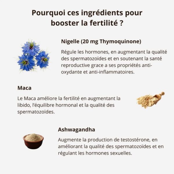 FERTILITE MASCULINE NIGELLE – Image 3