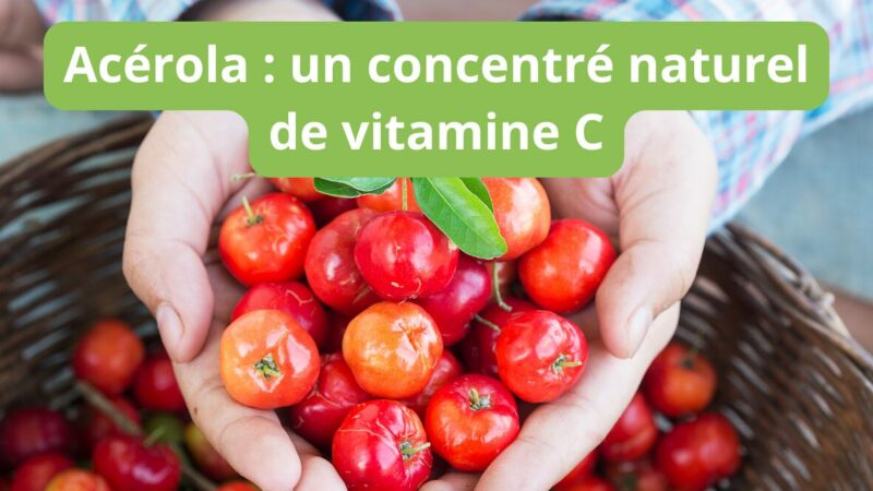 Boostez naturellement votre vitalité avec l’Acérola Naturopatic