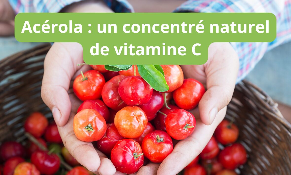 Lire la suite à propos de l’article Boostez naturellement votre vitalité avec l’Acérola Naturopatic