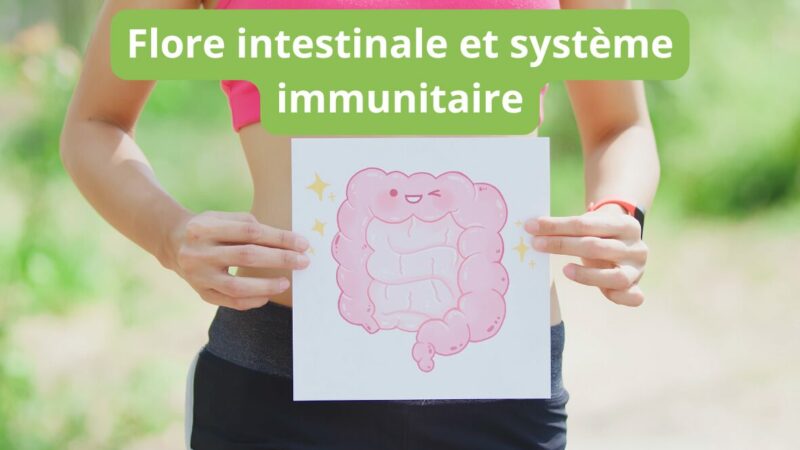 flore intestinale et système immunitaire
