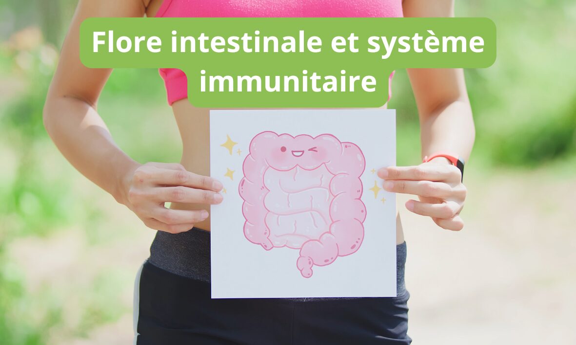 Lire la suite à propos de l’article flore intestinale et système immunitaire