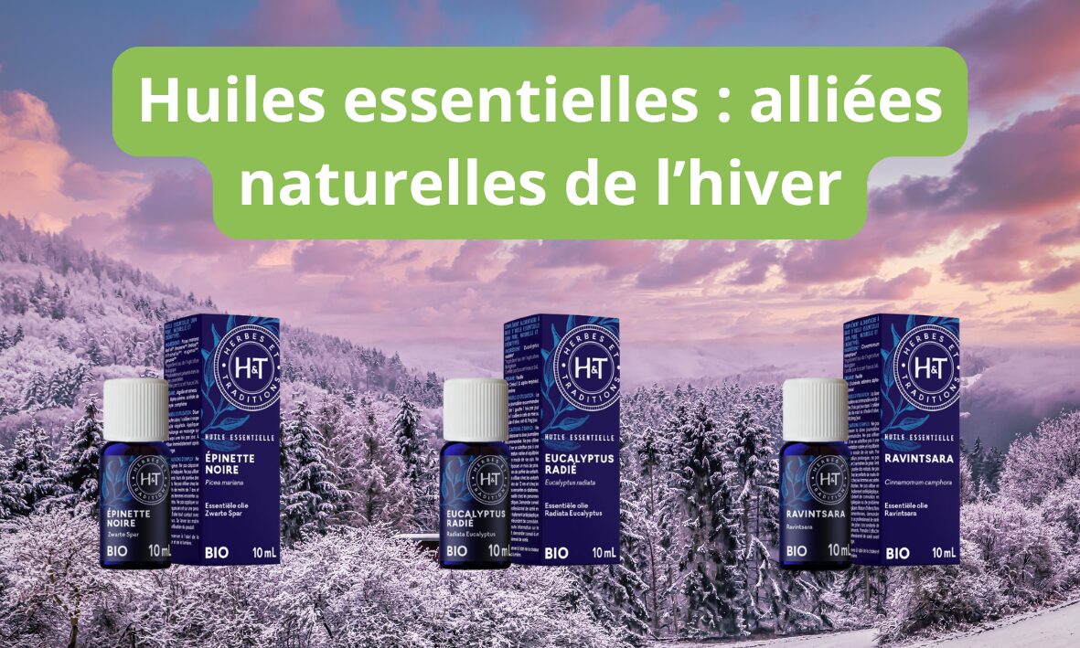 Lire la suite à propos de l’article les huiles essentielles de l’hiver