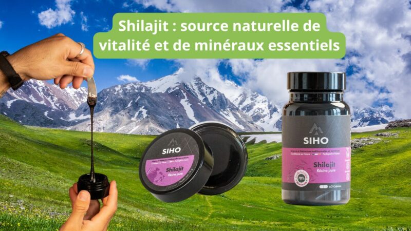 Shilajit : source naturelle de vitalité et de minéraux essentiels