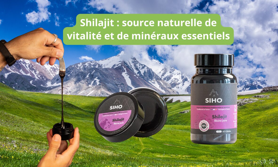 Lire la suite à propos de l’article Shilajit : source naturelle de vitalité et de minéraux essentiels