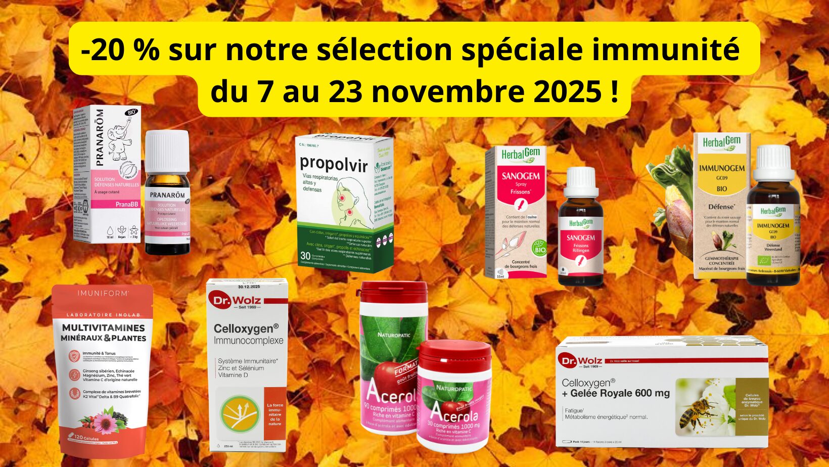Lire la suite à propos de l’article -20 % sur notre sélection spéciale immunité du 07 au 23 novembre 2025 !