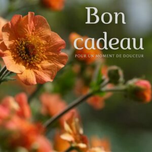 Bon Cadeau Sandrine Bussat
