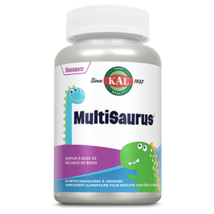 DINOSAURES MULTISAURUS – 60 DINO A CROQUER 2 ANS